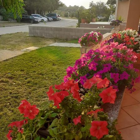 Apartmani Ruza Novalja Ngoại thất bức ảnh